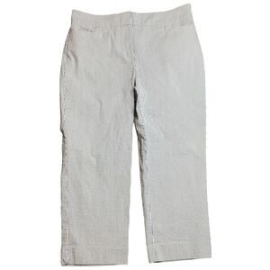 Ann Taylor Factory Petite Womens Pinstripes Straight Mid Rise Trouser Pant 12P